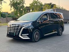 Denza BYD Denza D9 2024 DM-i 1050 Premium - ფოტო 1
