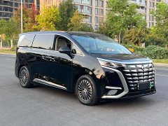 Denza BYD Denza D9 2024 DM-i 1050 Premium - ფოტო 3