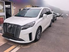 Buick GL8 ES Luxe Enjoyment Edition - ფოტო 1