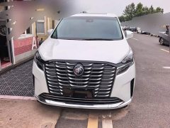 Buick GL8 ES Luxe Enjoyment Edition - ფოტო 2