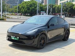 Tesla Model Y Rear-Wheel Drive - ფოტო 1