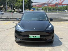 Tesla Model Y Rear-Wheel Drive - ფოტო 2