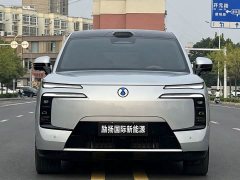 Denza BYD Denza N8L 2025 Premium Edition - ფოტო 2