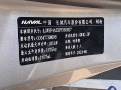 Haval M6 PLUS 1.5T Manual Luxury Smart Connected Edition - ფოტო 15