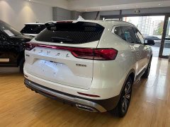Haval H6 National Trend Edition 1.5T Automatic Champion Version - ფოტო 11