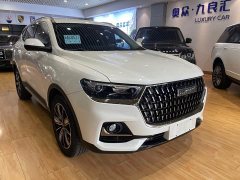 Haval H6 National Trend Edition 1.5T Automatic Champion Version - ფოტო 2