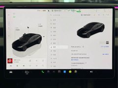 Tesla Model 3 Rear-Wheel Drive - ფოტო 17