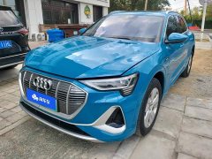 Audi e-tron 2021 50 quattro Luxury - ფოტო 1