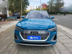 Audi e-tron 2021 50 quattro Luxury - ფოტო 2