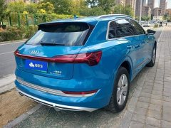 Audi e-tron 2021 50 quattro Luxury - ფოტო 3
