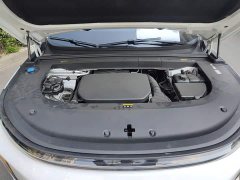 Li Auto L6 2024 Pro - ფოტო 16