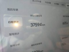 Li Auto L6 2024 Pro - ფოტო 8