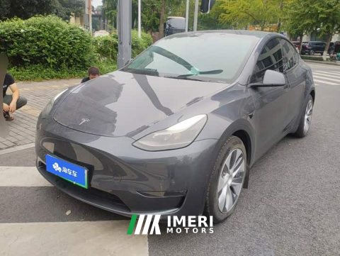 2021 Tesla Model Y Standard Range RWD - ავტომობილი ჩინეთიდან