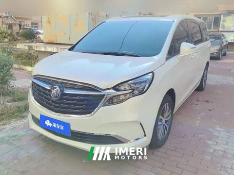 2021 Buick GL8 2020 ES LuZun 653T Respect Edition - ავტომობილი ჩინეთიდან