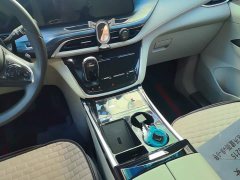 Buick GL8 2020 ES LuZun 653T Respect Edition - ფოტო 16