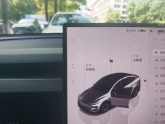 Tesla Model Y L 2025 Long Range All-Wheel Drive - ფოტო 10