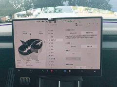 Tesla Model Y L 2025 Long Range All-Wheel Drive - ფოტო 20