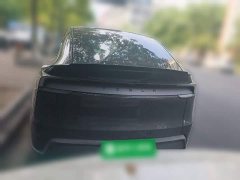 Tesla Model Y L 2025 Long Range All-Wheel Drive - ფოტო 3