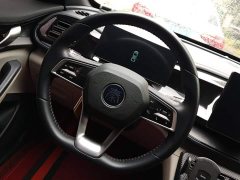 BYD Qin PLUS Champion Edition DM-i 55KM Leading - ფოტო 14