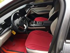 BYD Qin PLUS Champion Edition DM-i 55KM Leading - ფოტო 8