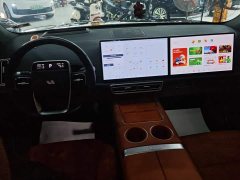 Li Auto L6 Pro - ფოტო 12