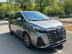 Buick GL8 Land Executive Cabin 652T Luxury - ფოტო 3