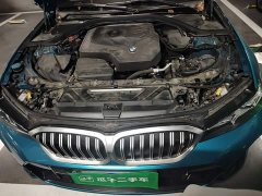BMW 3 Series 320Li M Sport Package - ფოტო 16