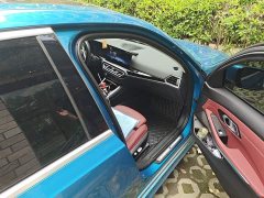 BMW 3 Series 320Li M Sport Package - ფოტო 19