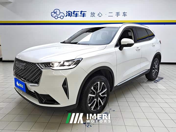 Haval H6 1.5T Two-Wheel Drive Classic Edition