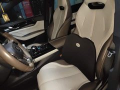 BYD Qin PLUS Champion Edition DM-i 55KM Leading - ფოტო 11
