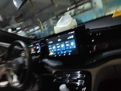 BYD Qin PLUS Champion Edition DM-i 55KM Leading - ფოტო 20