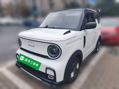 Geely Panda 2025 210km Panda Kart - ფოტო 1