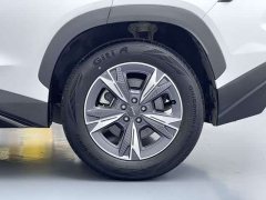 Jetour Jietu Dasheng 2023 1.5T DCT Star Radiance PRO - ფოტო 16