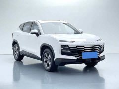 Jetour Jietu Dasheng 2023 1.5T DCT Star Radiance PRO - ფოტო 3