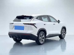 Jetour Jietu Dasheng 2023 1.5T DCT Star Radiance PRO - ფოტო 4