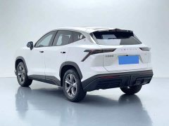 Jetour Jietu Dasheng 2023 1.5T DCT Star Radiance PRO - ფოტო 6