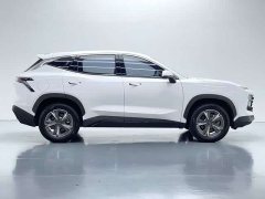 Jetour Jietu Dasheng 2023 1.5T DCT Star Radiance PRO - ფოტო 9