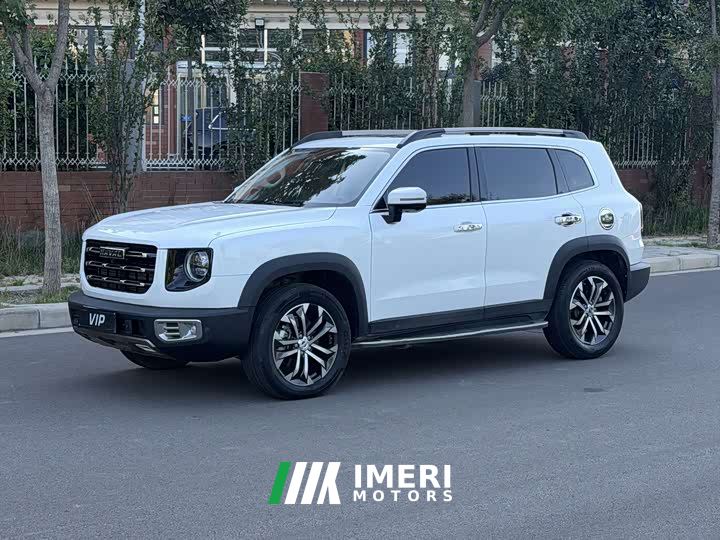 Great Wall Dachshund 1.5T DCT Two-Wheel Drive Border Collie-Wangcai Edition