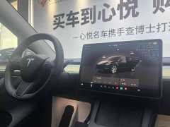 Tesla Model Y 2022 Rear-Wheel Drive - ფოტო 9