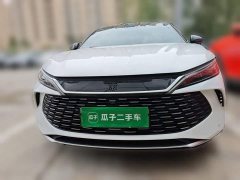 BYD Qin L DM-i 120KM Leading Edition - ფოტო 2