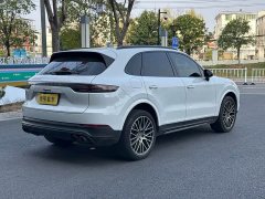 Porsche Cayenne 3.0T Platinum Edition - ფოტო 18