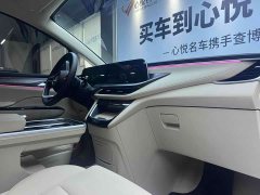 Buick GL8 New Energy 2025 Luushang Advance Edition - ფოტო 9