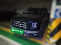 Great Wall Dachshund 2022 1.5T DCT Two-Wheel Drive Border Collie Edition - ფოტო 1