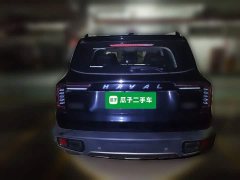 Great Wall Dachshund 2022 1.5T DCT Two-Wheel Drive Border Collie Edition - ფოტო 3