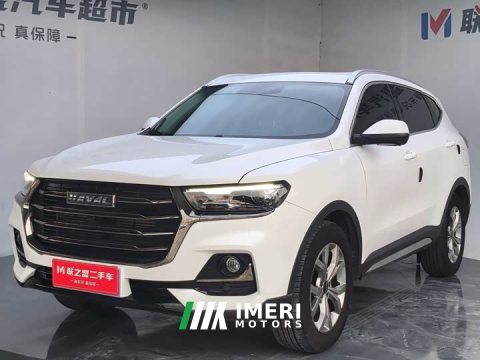 2023 Haval H6 2021 National Trend 1.5T Automatic Champion Edition - ავტომობილი ჩინეთიდან