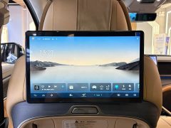 Denza D9 2022 DM-i 970 AWD Flagship - ფოტო 17