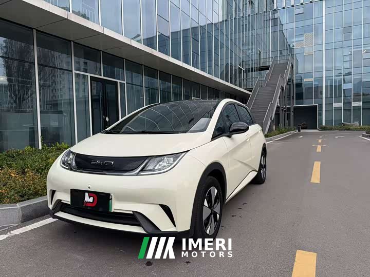 BYD Dolphin 420km Freedom Edition - ავტომობილი ჩინეთიდან