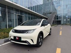 BYD Dolphin 420km Freedom Edition - ფოტო 1