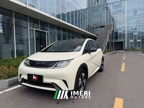 2023 BYD Dolphin 420km Freedom Edition - ავტომობილი ჩინეთიდან