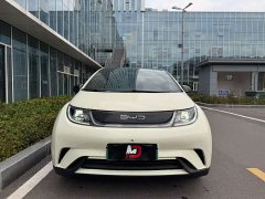 BYD Dolphin 420km Freedom Edition - ფოტო 2